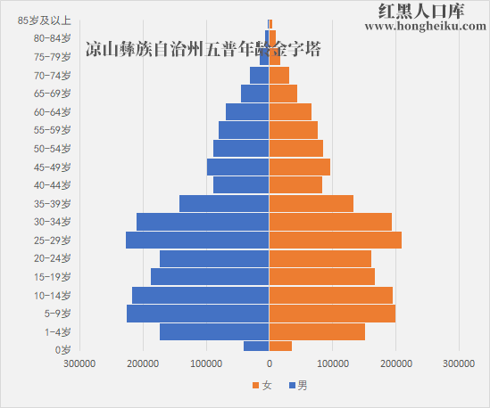 凉山彝族自治州计生委新项目推动可持续发展与优化人口结构