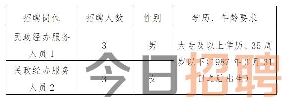 云龙县统计局最新招聘信息及相关内容深度探讨