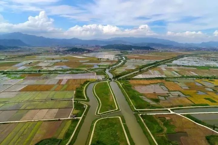 东扎村典范项目，引领乡村发展新标杆