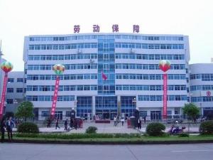 商丘市劳动和社会保障局新项目推动社会保障体系建设，助力城市持续发展