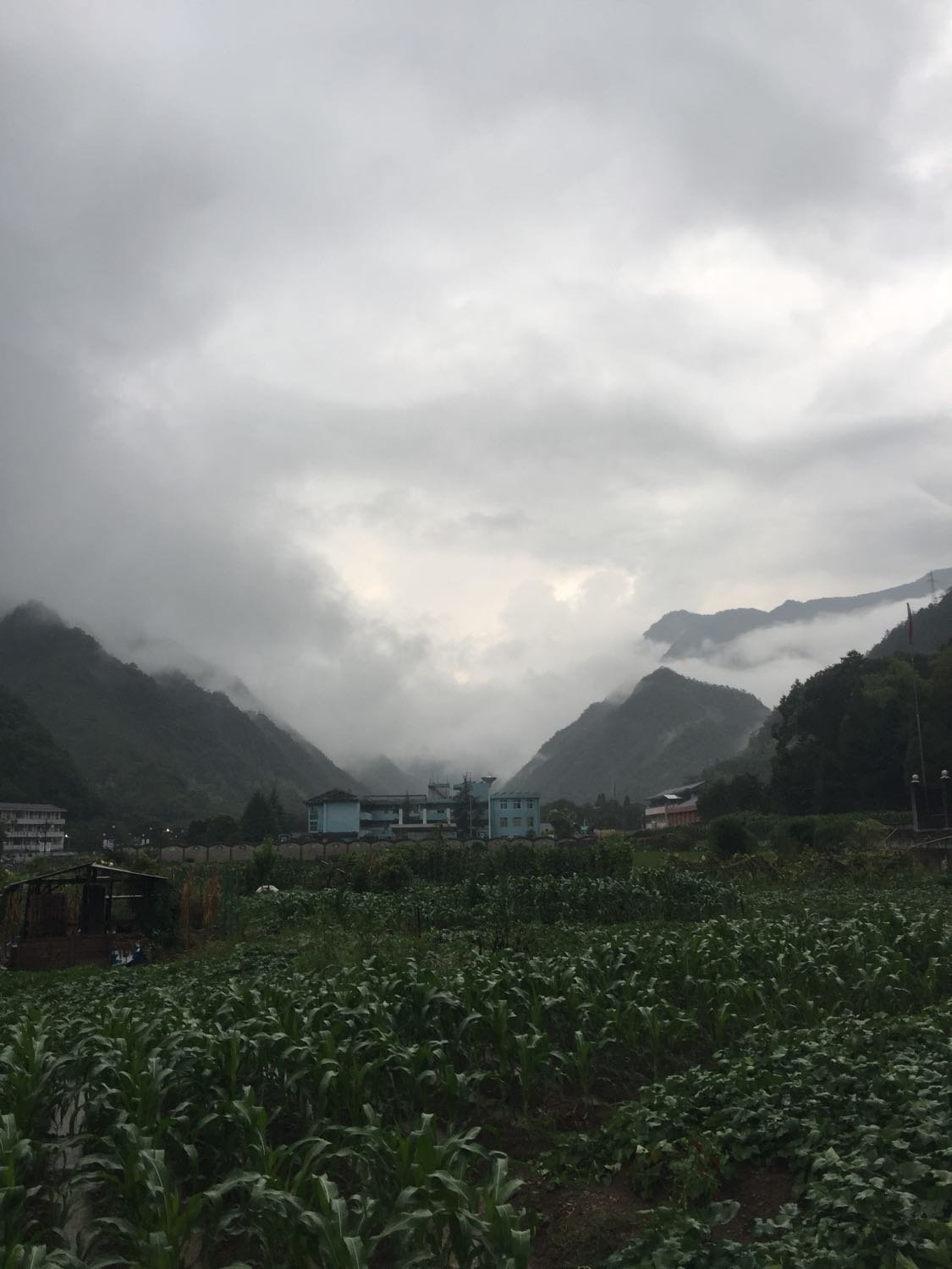 拉根村天气预报更新通知